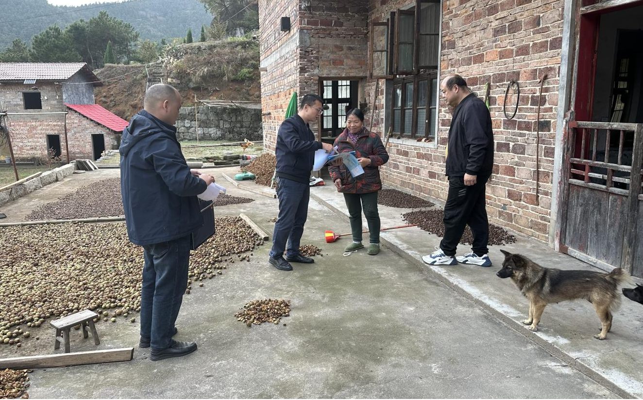 图片3_56375图片3