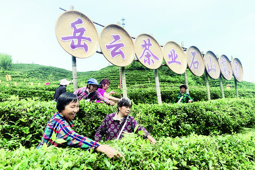 small_news_small_news_0.206483786090502