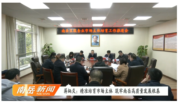 蒋炳炎：精准培育市场主体 筑牢南岳高质量发展根基