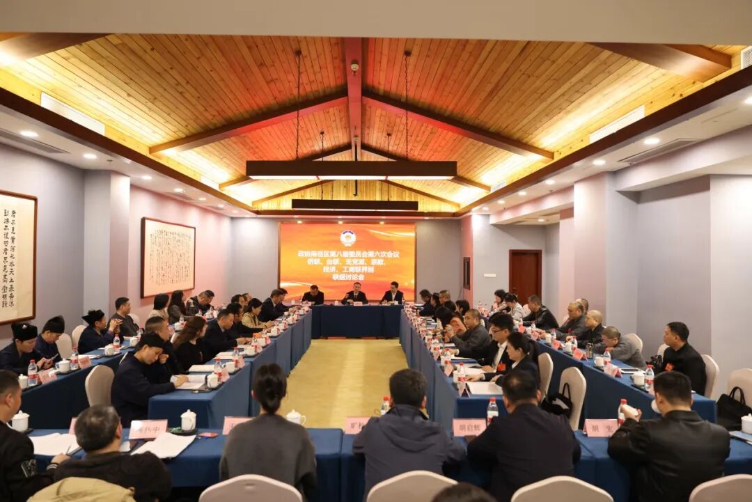 区政协八届六次会议 | 蒋炳炎参加第二联组讨论