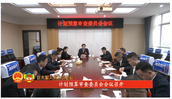 区九届人大六次会议 | 计划预算审查委员会会议召开