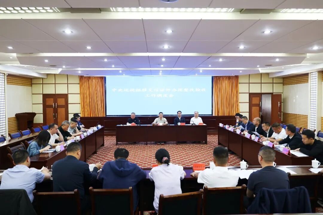 蒋炳炎主持召开中央巡视组移交信访件办理整改验收工作调度会