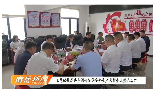 王慧敏赴寿岳乡调研督导安全生产大排查大整治工作