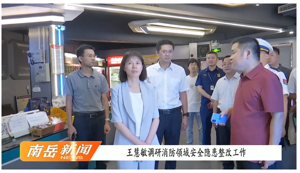 王慧敏调研消防领域安全隐患整改工作
