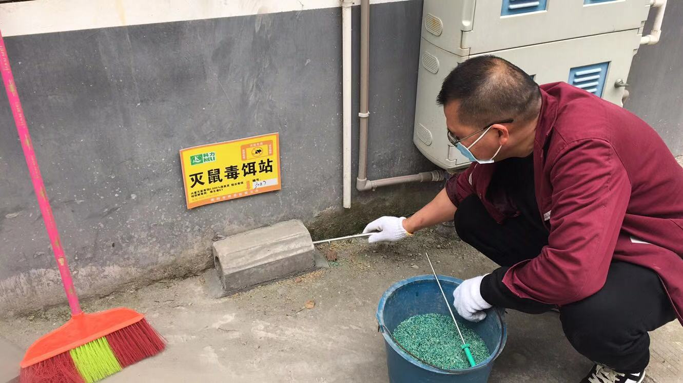 卫生健康局南岳区开展2021年春季统一灭鼠活动