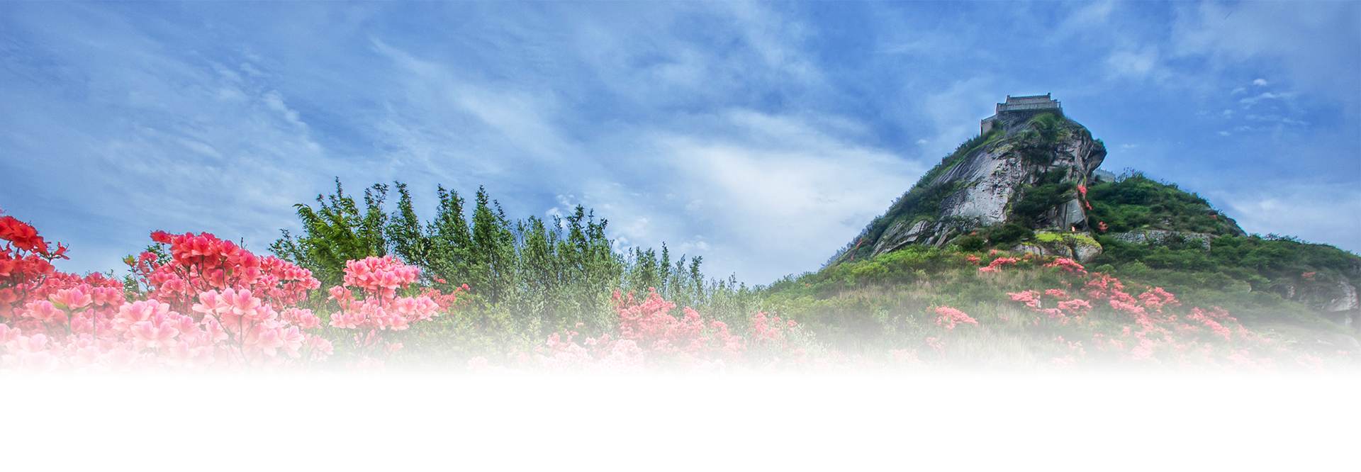 全世界主要的恐怖组织-南岳区人民政府门户网站-应急管理