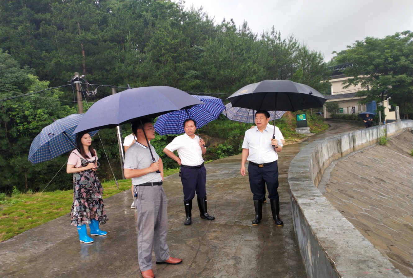 南岳区 要闻近日,区委副书记李健,区委常委,常务副区长刘军和副区长徐